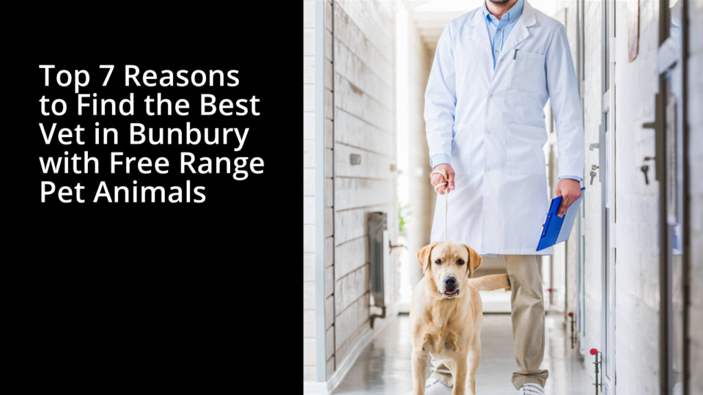 vet bunbury